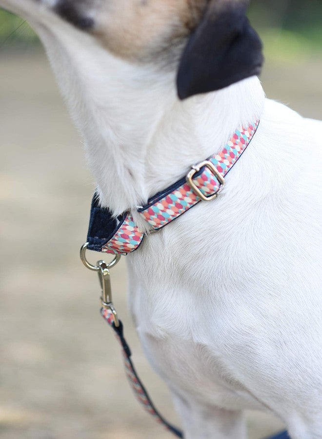 Mutt of Course طوق مارتينجال من Mutt of Course Candy Barrr (مجموعة كبيرة) - Image 4